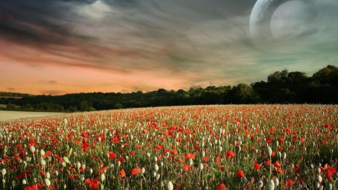 如何评价《情感反诈模拟器》女演员刘梦茹最新的抖音***回应?